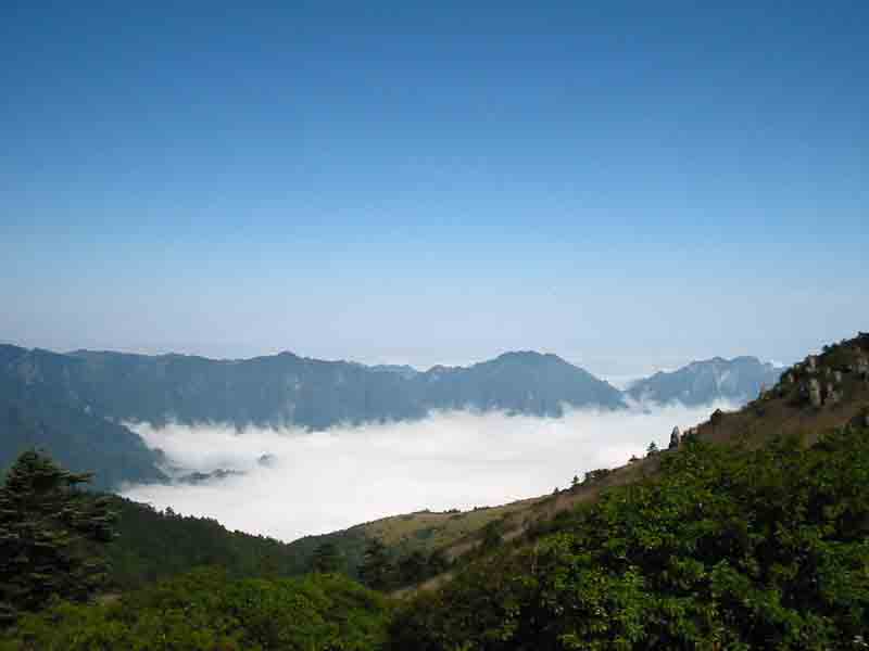 神農(nóng)架之旅
